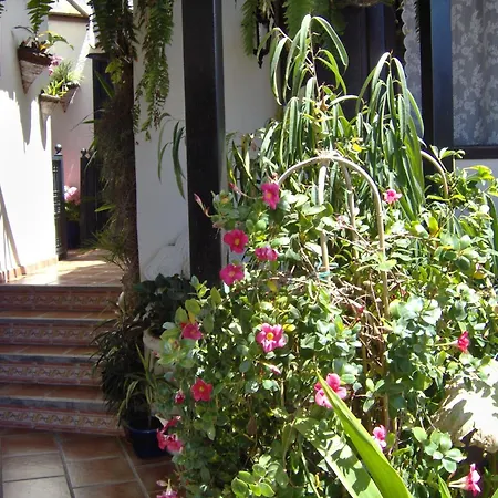 Monasterio De San Antonio - Rustikales Mit Kleiner Innenhofterrasse *