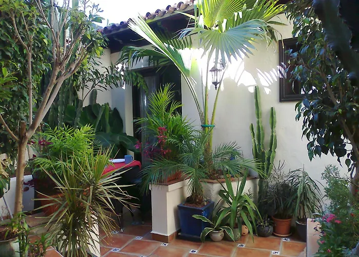 Monasterio De San Antonio - Rustikales Mit Kleiner Innenhofterrasse * Icod De Los Vinos